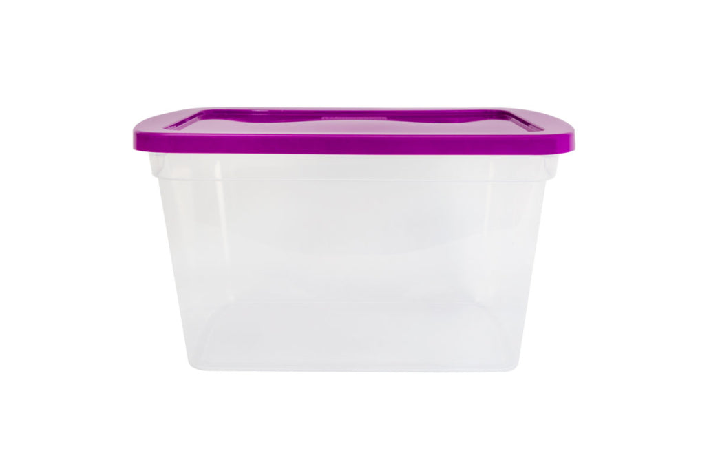 CAJA ORGANIZADORA TRANSPARENTE 30.0 LTS