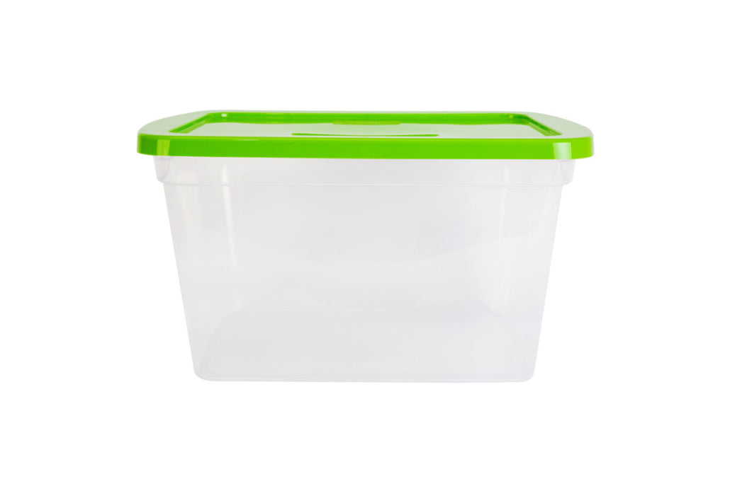 CAJA ORGANIZADORA TRANSPARENTE 30.0 LTS