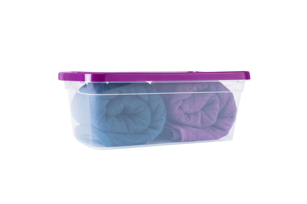 CAJA ORGANIZADORA TRANSPARENTE 11.0 LTS