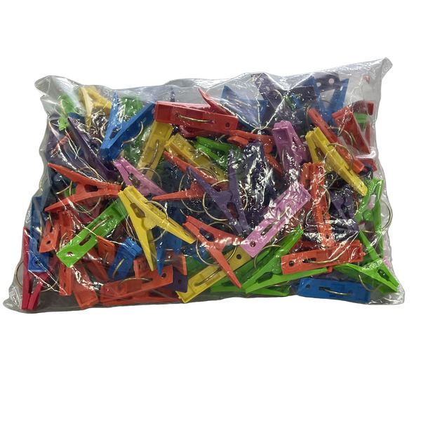 PINZA PAQUETE 100 PZS NAOMI