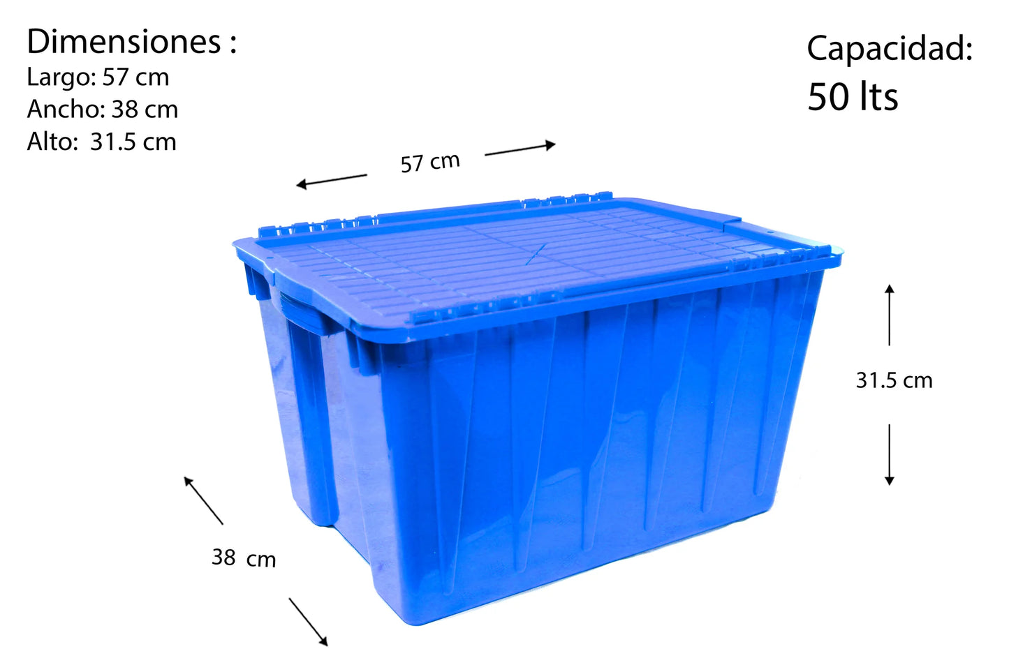 CAJA ATENAS 50 LTS DNOVO