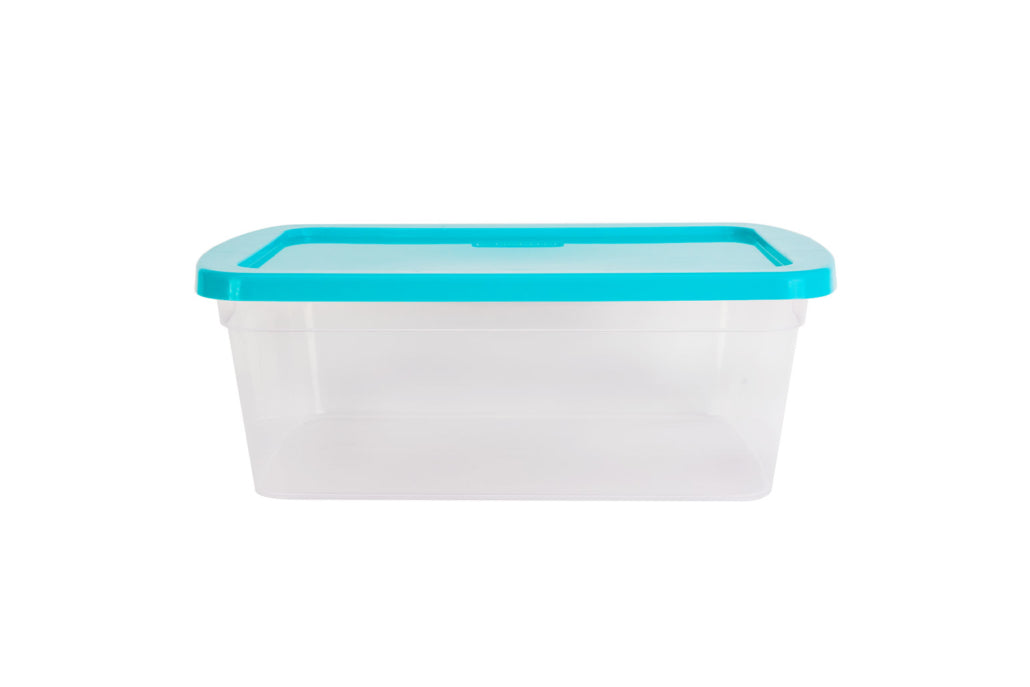 CAJA ORGANIZADORA TRANSPARENTE 11.0 LTS