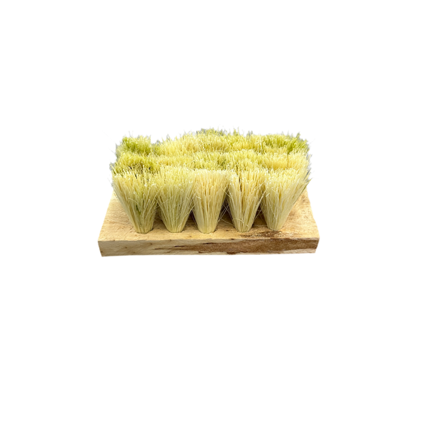 CEPILLO IXTLE MANUAL