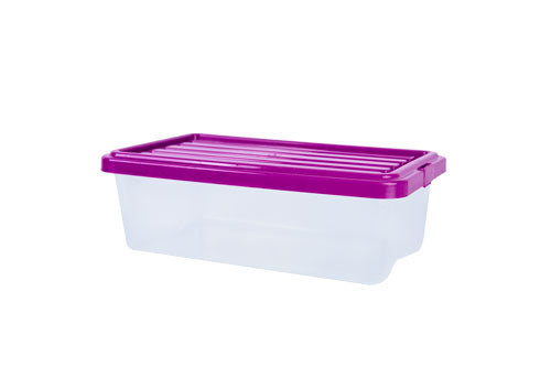 CAJA ORGANIZADORA TRANSPARENTE 4.5 LTS