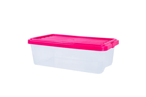 CAJA ORGANIZADORA TRANSPARENTE 4.5 LTS