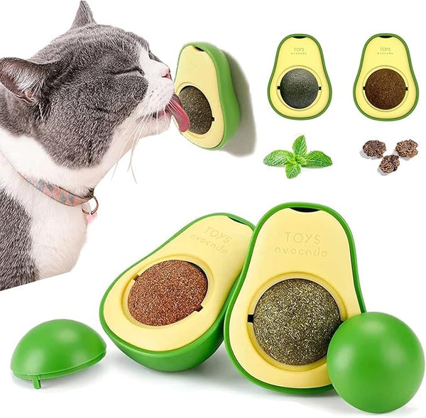 AGUACATE CATNIP