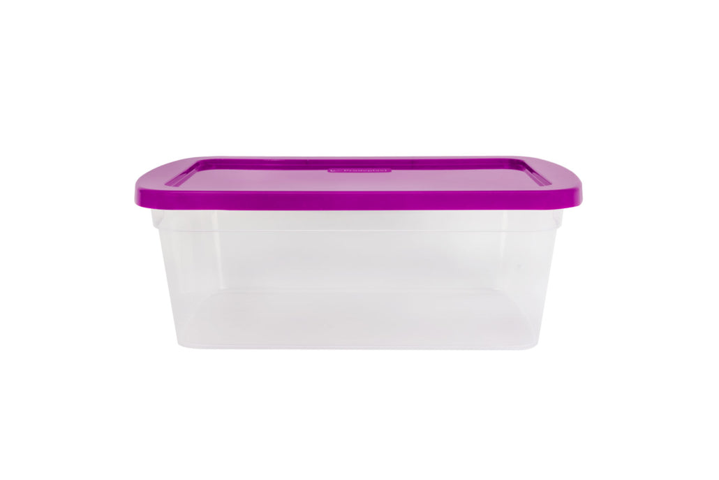 CAJA ORGANIZADORA TRANSPARENTE 11.0 LTS