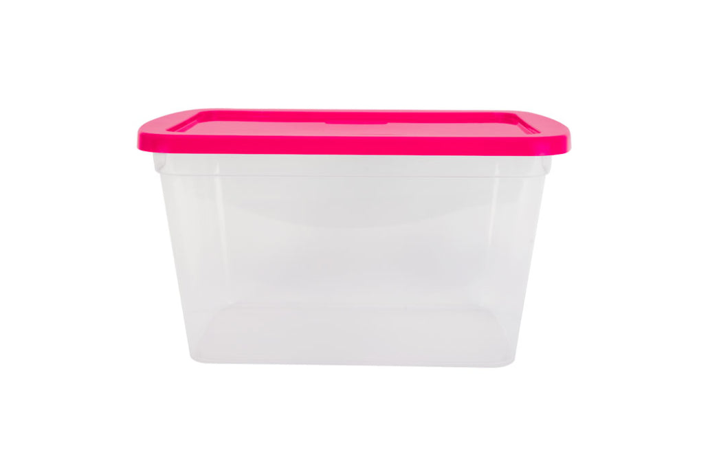CAJA ORGANIZADORA TRANSPARENTE 15.0 LTS