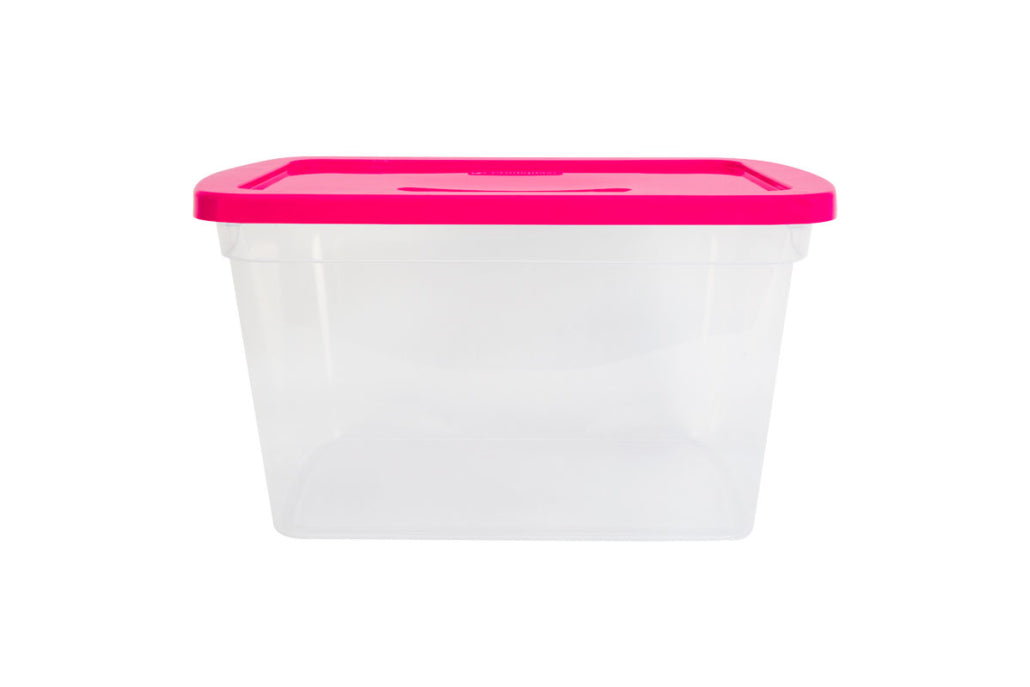 CAJA ORGANIZADORA TRANSPARENTE 30.0 LTS