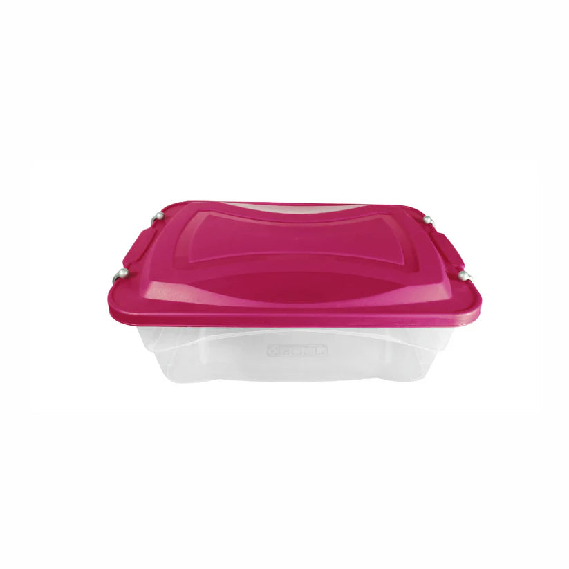 CAJA ORGANIZADOR CLIP 10 L NATURAL