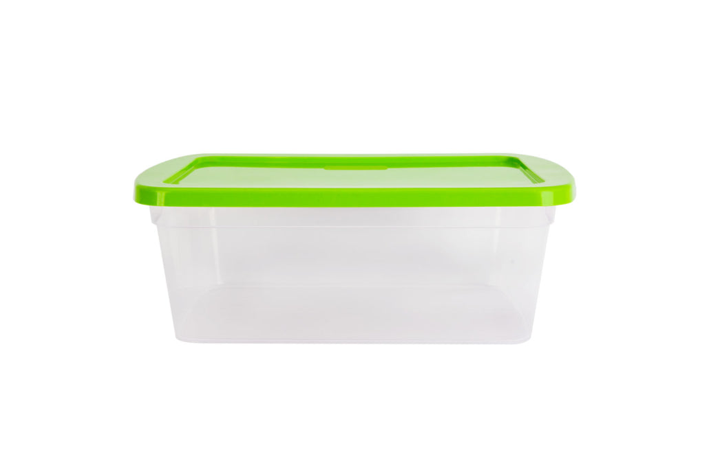 CAJA ORGANIZADORA TRANSPARENTE 11.0 LTS