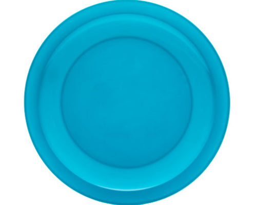 PLATO TRINCHE GONHER